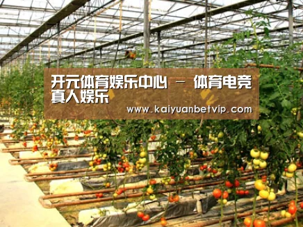 种植基地二(图1)
